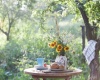 Jak wybrać najlepsze meble ogrodowe na lato? - Poradnik dla początkujących