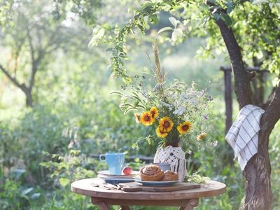 Jak wybrać najlepsze meble ogrodowe na lato? - Poradnik dla początkujących
